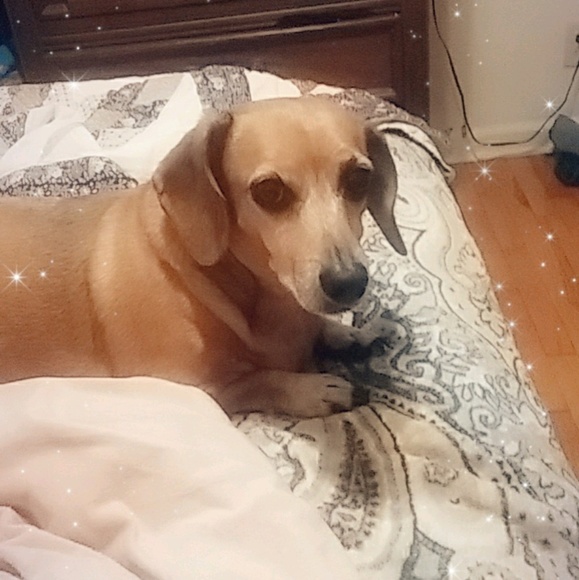 Meet your Posher, Lee - Picture 1 of 1